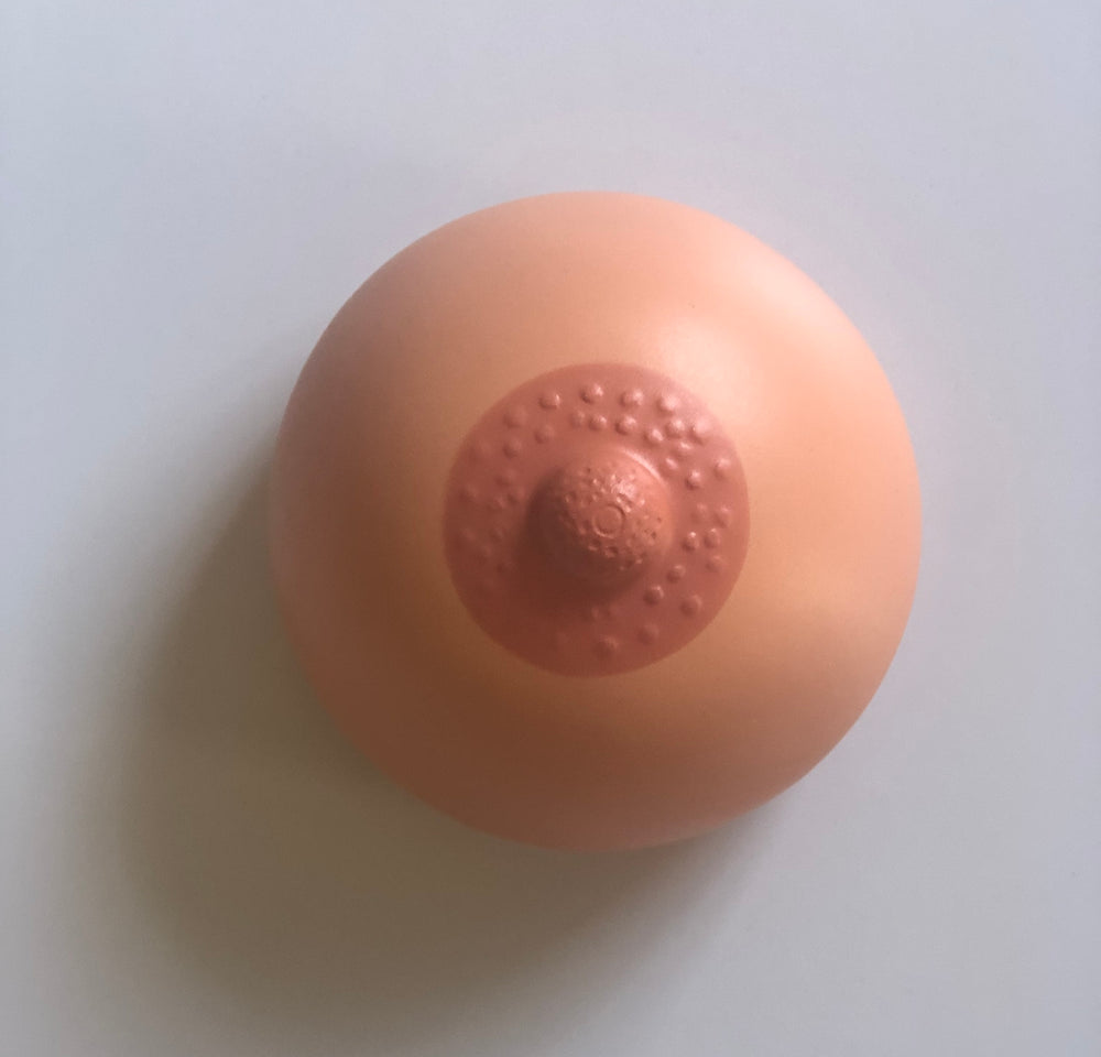Teaching Demo Breast Tool- Stress Relief Breast Ball Demo Boob Lacticups: The Original Breastmilk Collection Cup | Essential Breastfeeding Supply