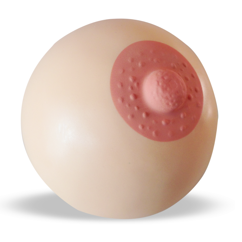 Teaching Demo Breast Tool- Stress Relief Breast Ball Demo Boob Lacticups: The Original Breastmilk Collection Cup | Essential Breastfeeding Supply